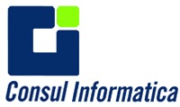 Consul Informatica